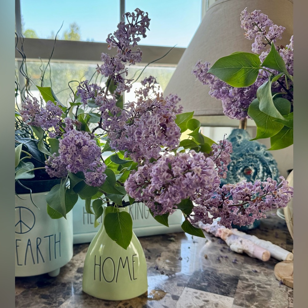 Rae Dunn HOME Vase